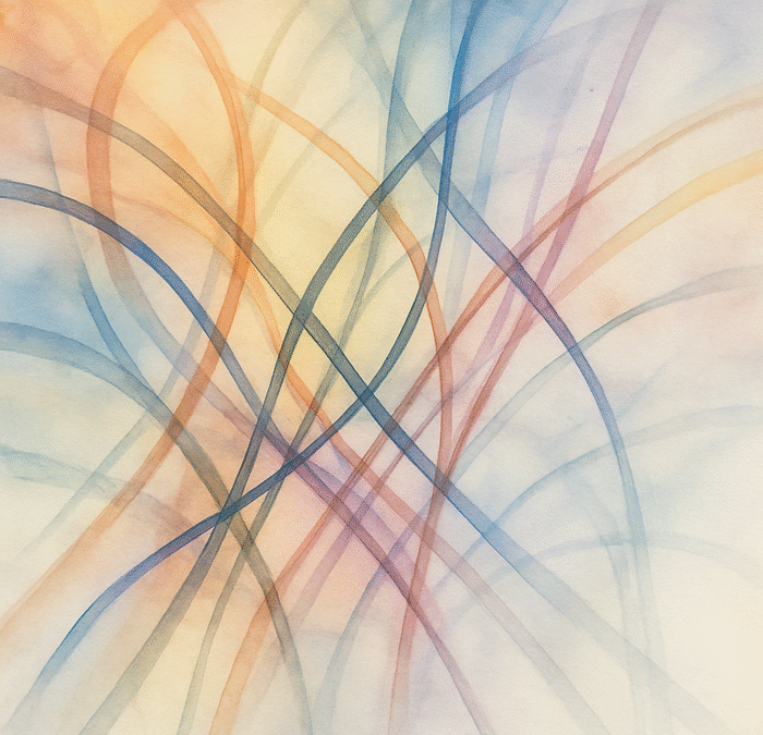 Developments in Social GRRRAAACCEEESSS – Visible–Invisible and Voiced–Unvoiced A Balanced Review